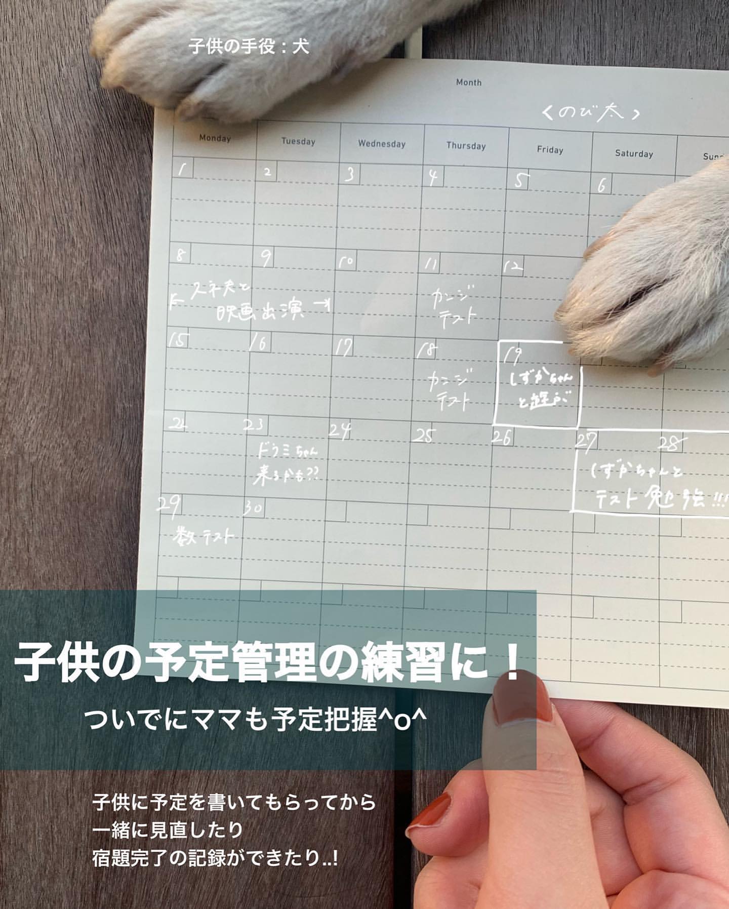 プロジェクト計画書 / パッドメモ